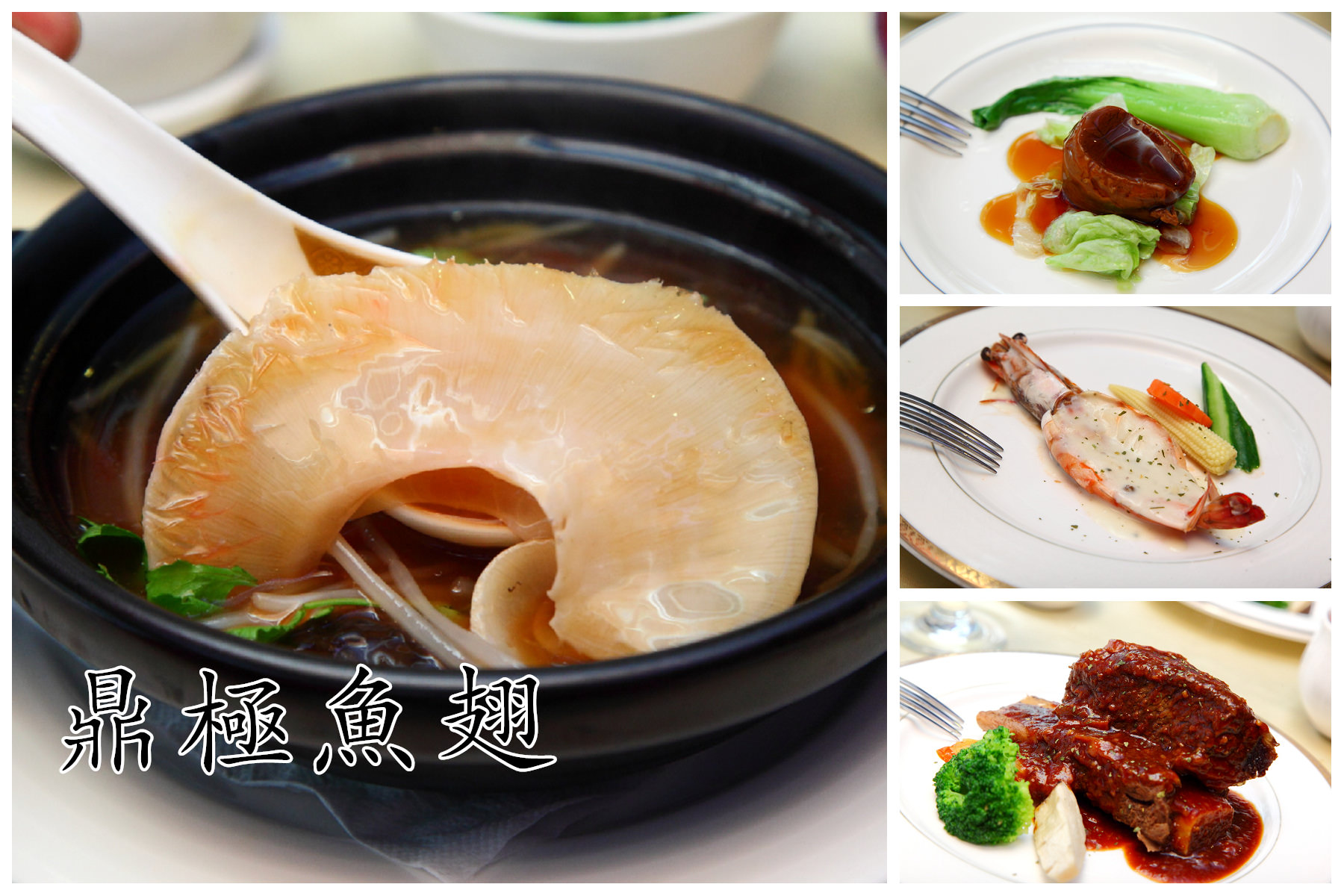 中山區魚翅餐廳,台北頂級餐廳,林森北路魚翅餐廳,邀稿,台北魚翅餐廳 @大手牽小手。玩樂趣
