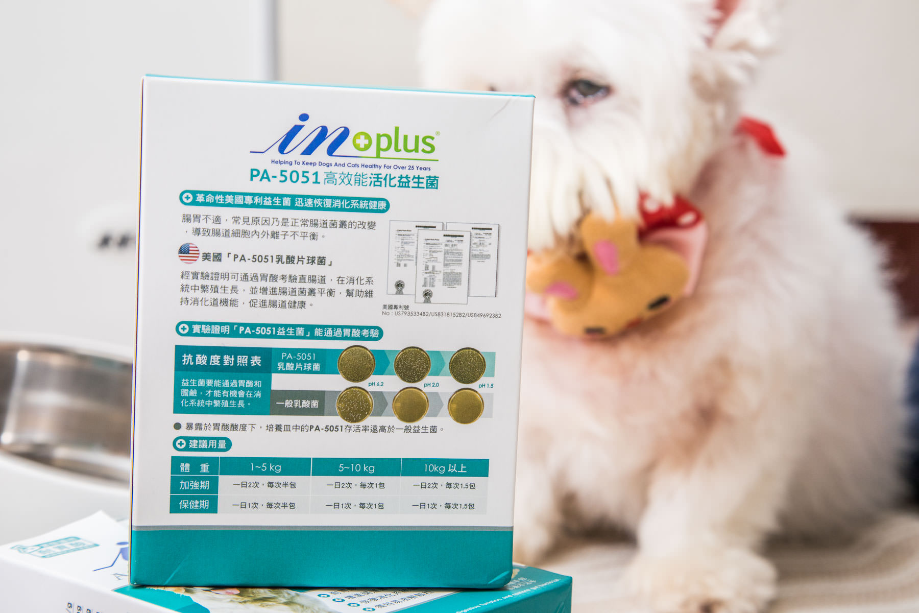 寵物益生菌品牌,狗益生菌,IN-Plus 腸胃保健-PA-5051高效能活化益生菌,寵物保健品,益生菌,寵物益生菌