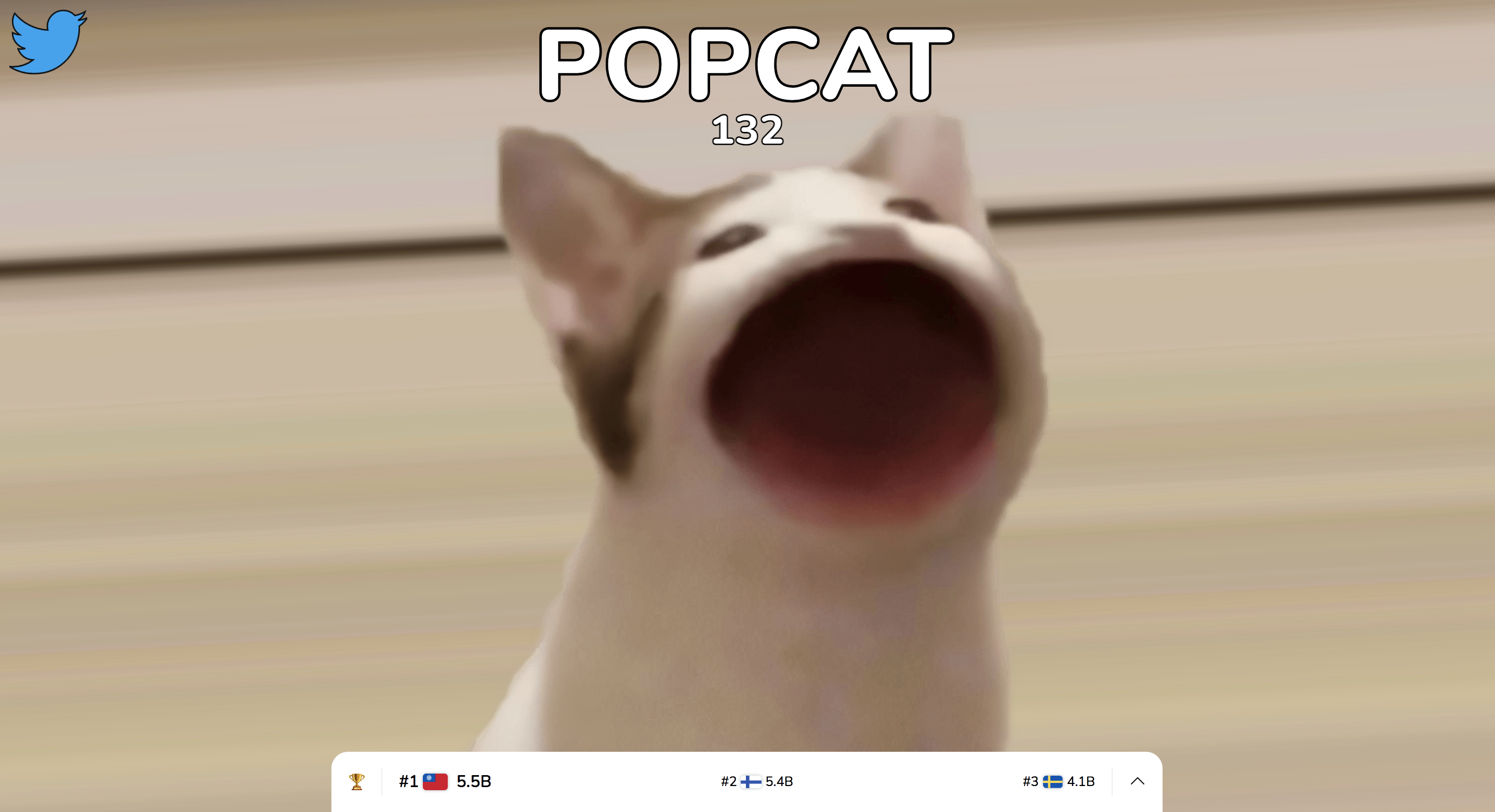 popcat,迷因
