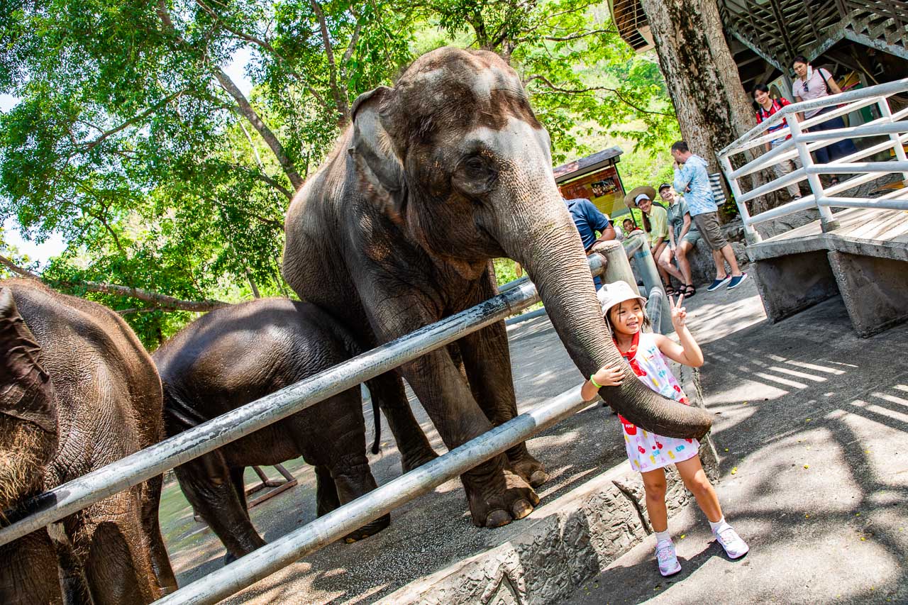 泰國動物園,泰國親子景點,泰國野生動物園,芭達雅景點,芭達雅野生動物園,芭達雅景點綠山動物園,綠山野生動物園