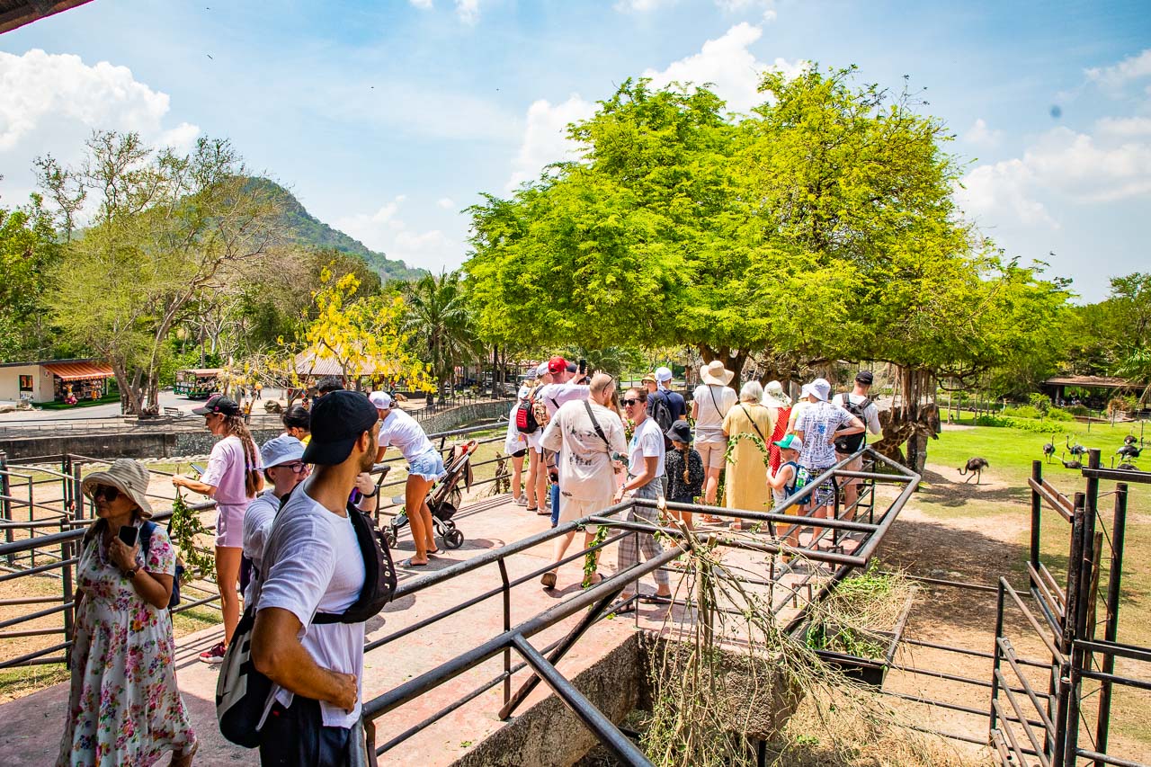 泰國親子景點,泰國野生動物園,芭達雅景點,芭達雅野生動物園,芭達雅景點綠山動物園,綠山野生動物園,泰國動物園