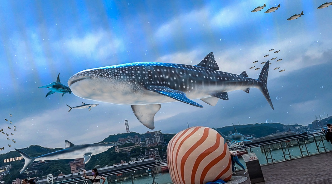 基隆景點,基隆鯨鯊,基隆東岸旅客中心,sky ocean與鯨鯊共游,基隆甲板派對市集