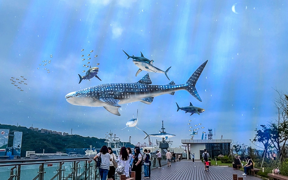 基隆景點,基隆鯨鯊,基隆東岸旅客中心,sky ocean與鯨鯊共游,基隆甲板派對市集