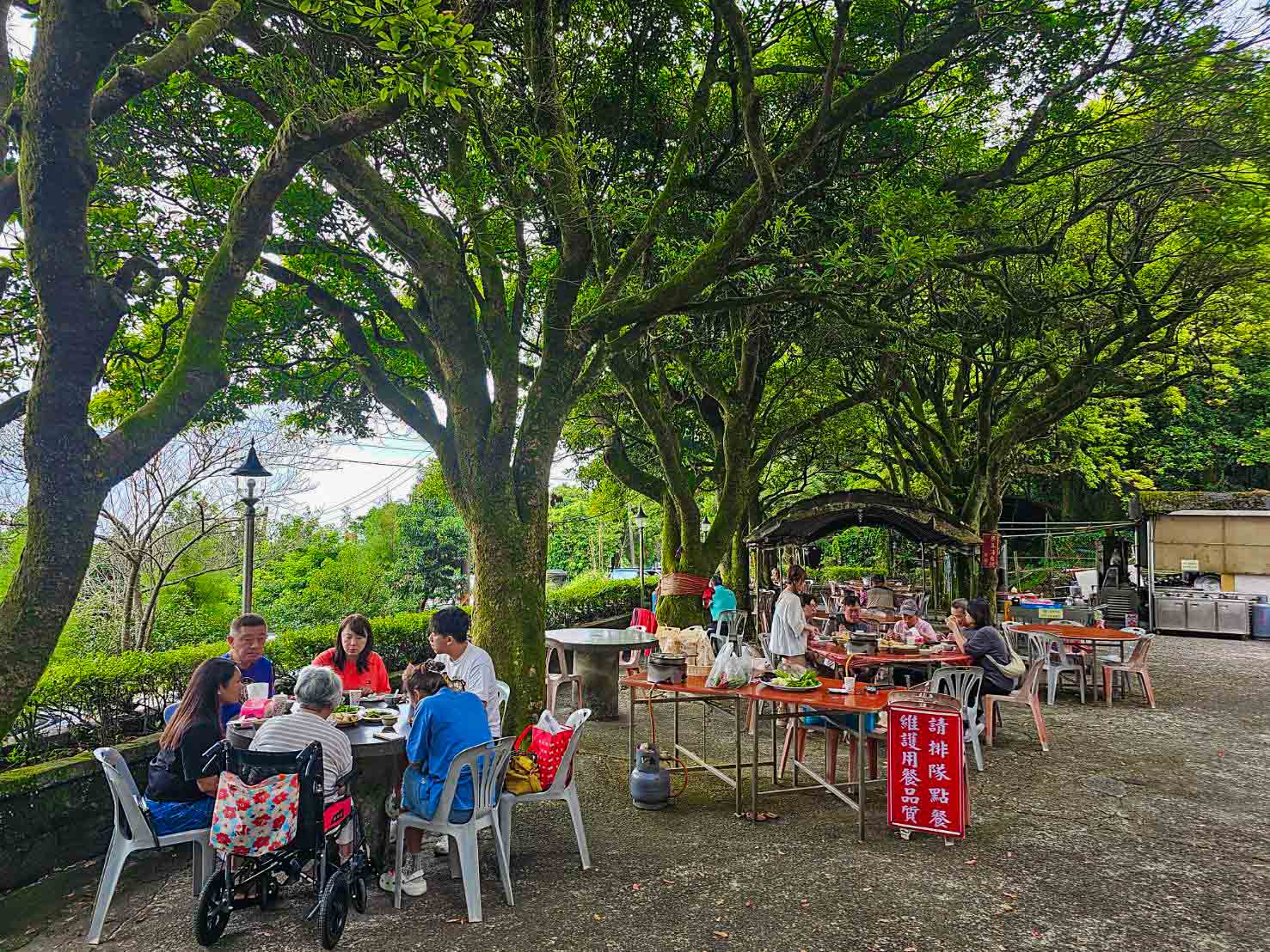 陽明山土雞,陽明山竹子湖杉木林餐廳,台北土雞