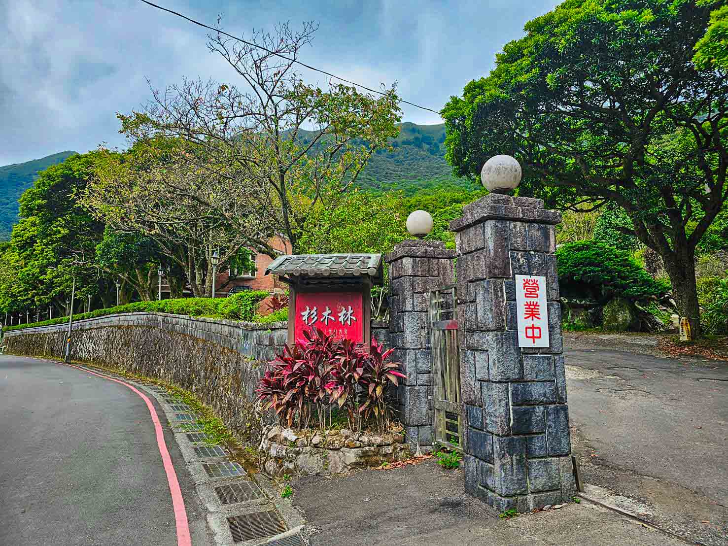 陽明山土雞,陽明山竹子湖杉木林餐廳,台北土雞