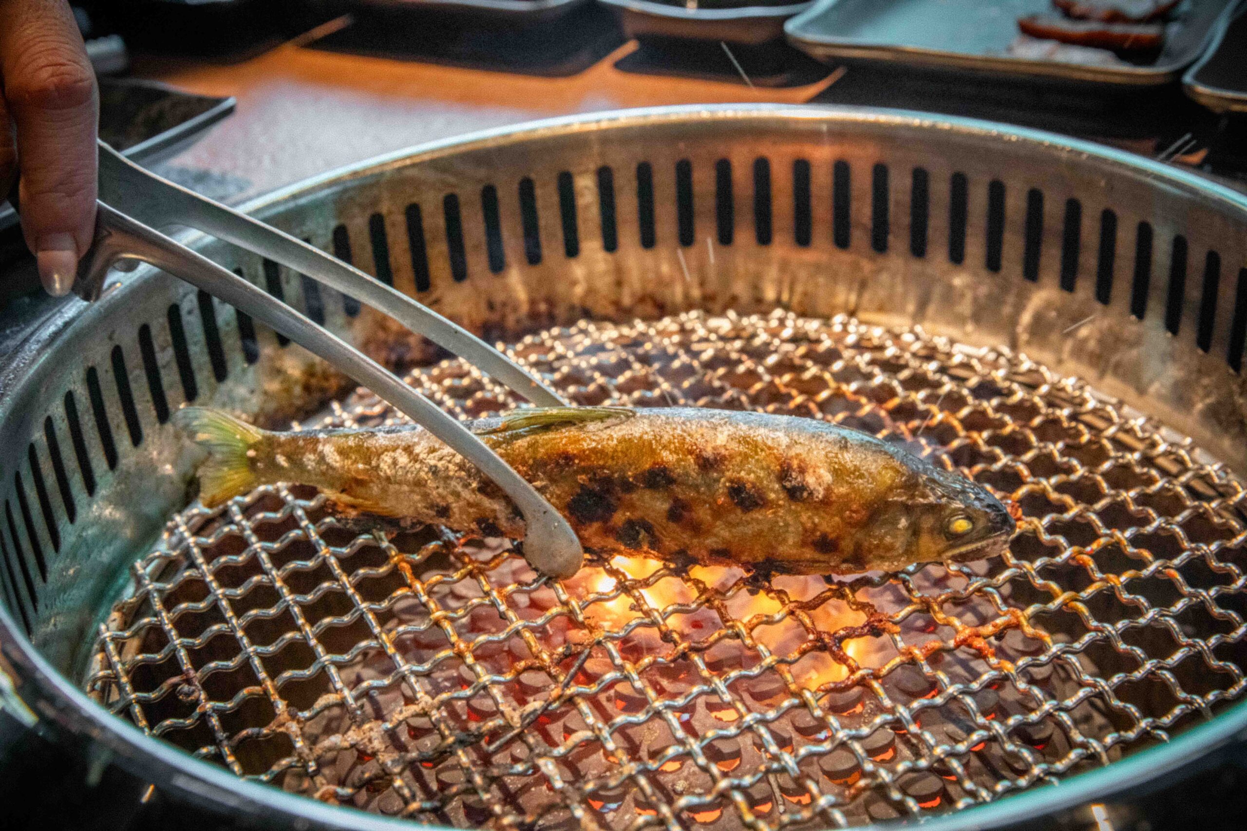 中壢燒肉吃到飽,中壢和牛吃到飽,吃肉肉焼き肉専門店中壢店