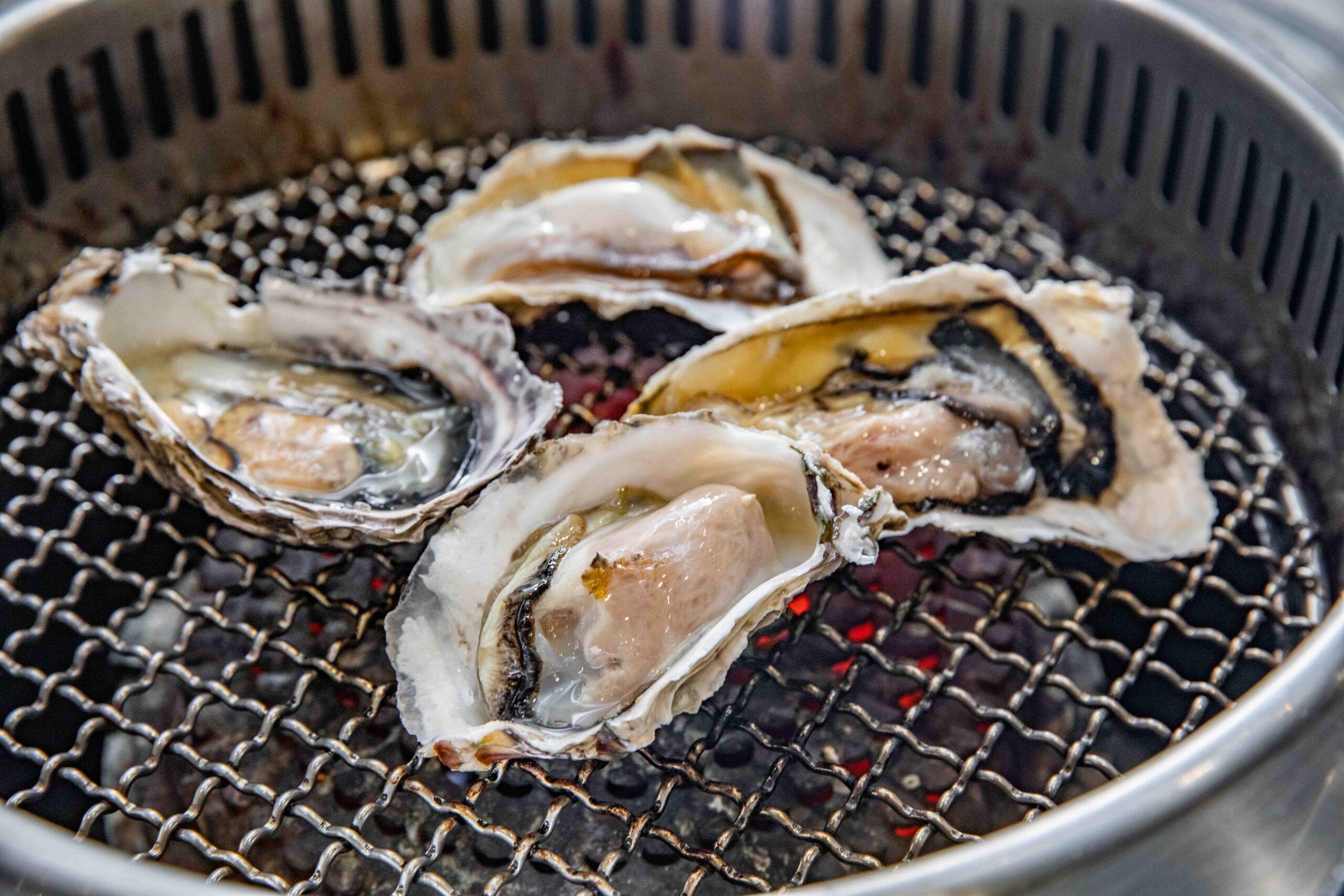 桃園燒肉吃到飽,吃肉肉燒肉専門店