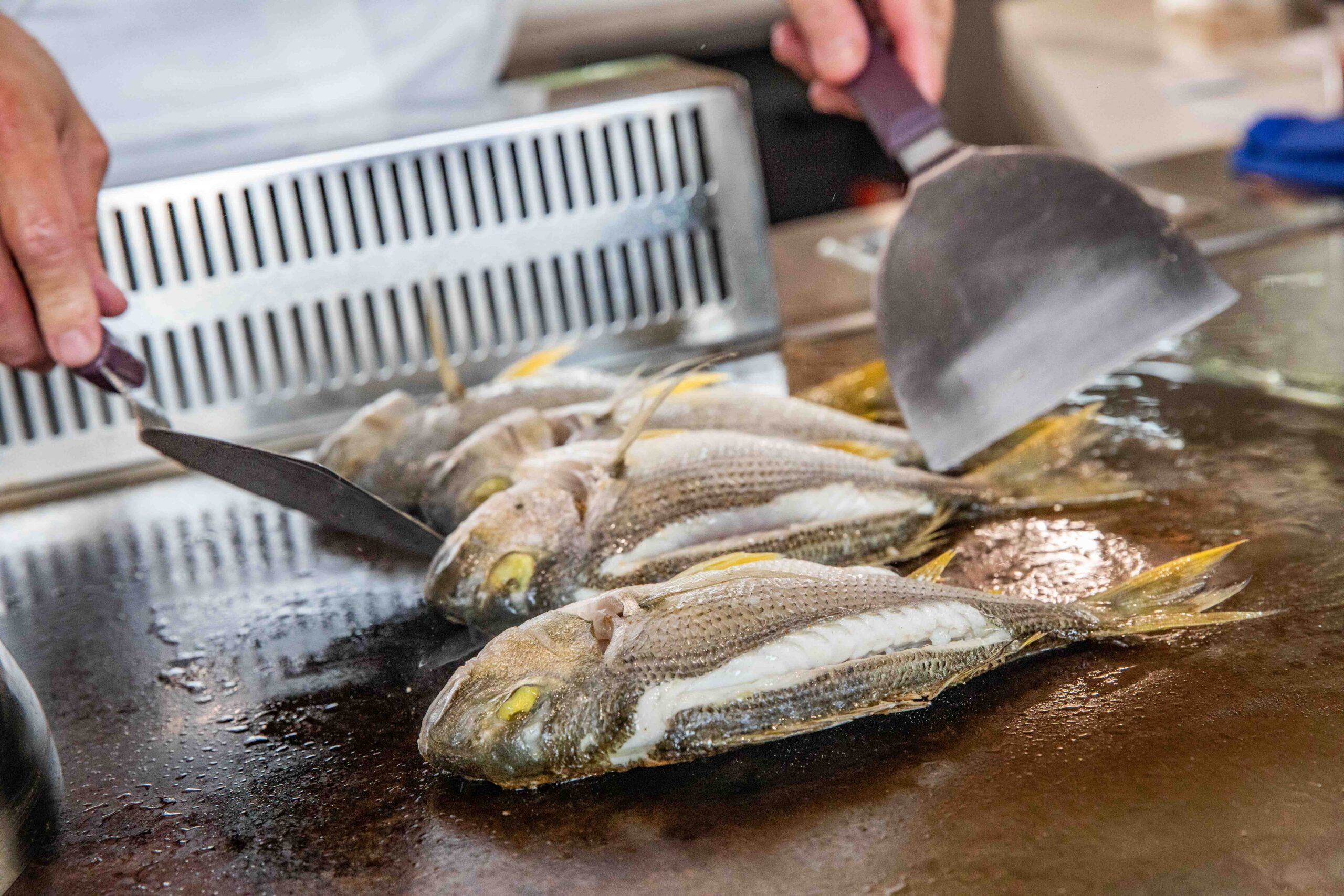 台中鐵板燒,台中無菜單料理,明水然・樂 台中星級店(逢甲) 台中鐵板燒,台中無菜單料理,明水然・樂 台中星級店(逢甲)