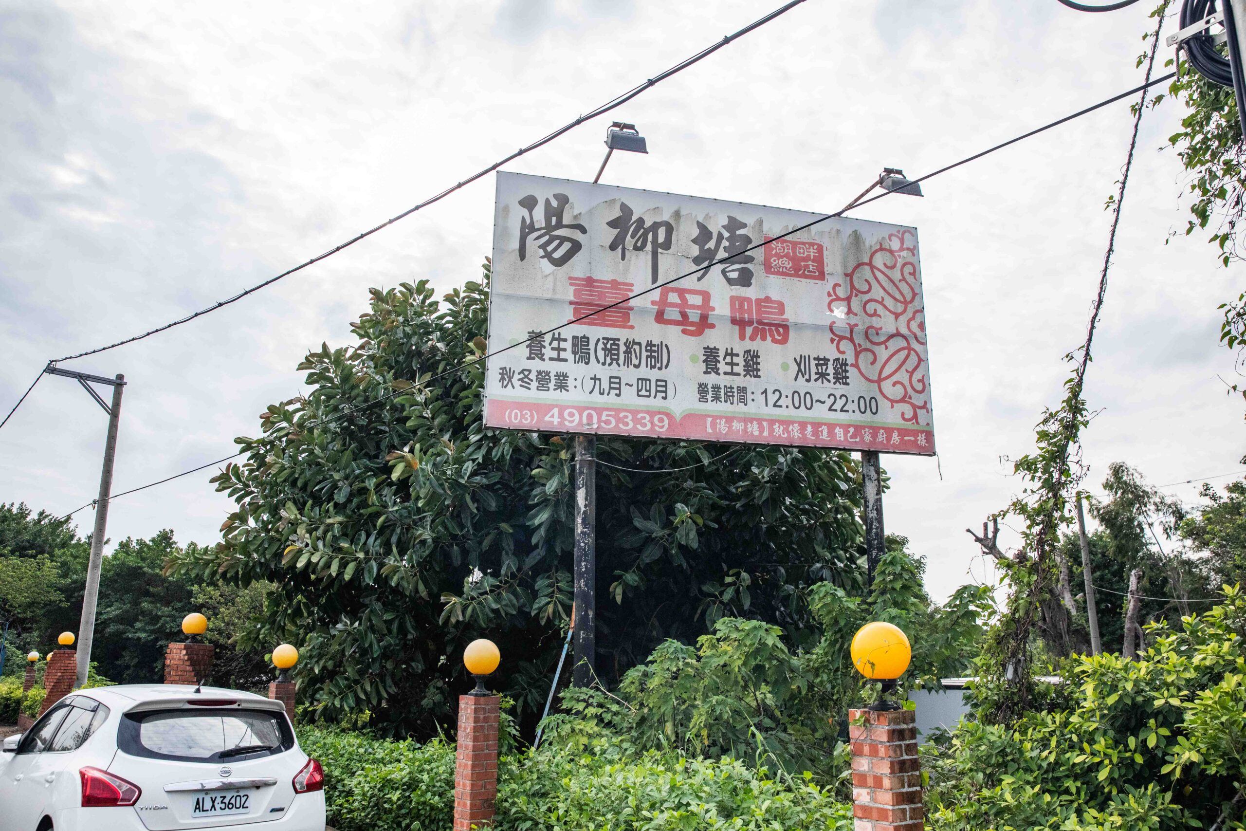 桃園薑母鴨,桃園美食,陽柳塘薑母鴨