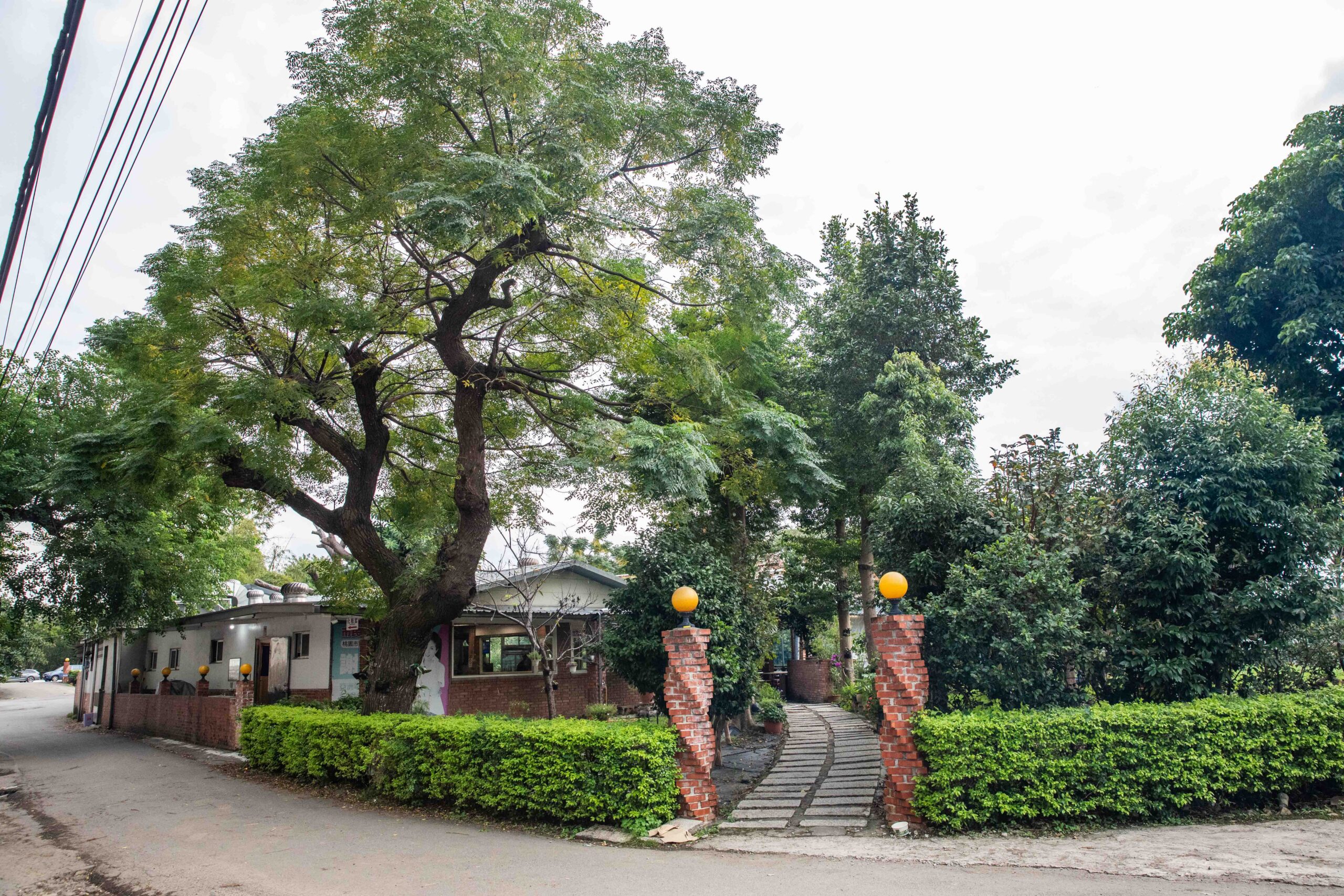 桃園薑母鴨,桃園美食,陽柳塘薑母鴨