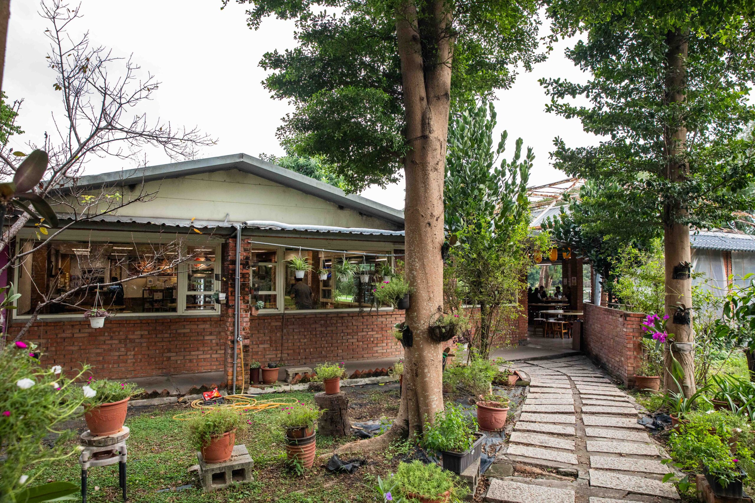 桃園薑母鴨,桃園美食,陽柳塘薑母鴨