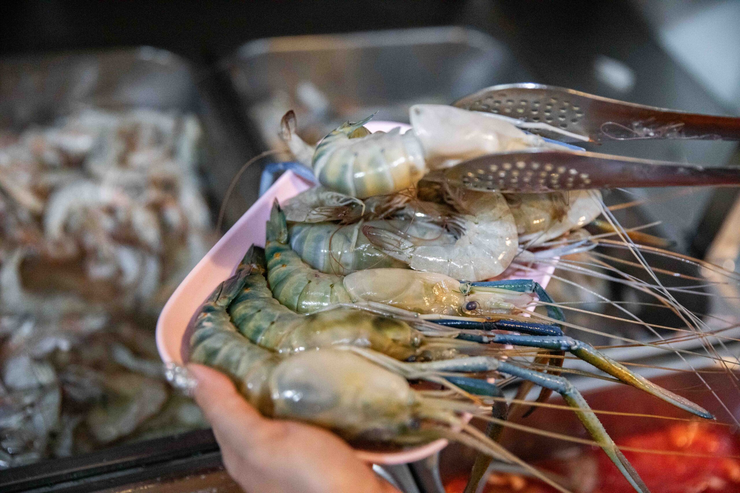 曼谷吃到飽,Pranakorn Grill,曼谷美食,曼谷泰國蝦吃到飽 曼谷吃到飽,Pranakorn Grill,曼谷美食,曼谷泰國蝦吃到飽