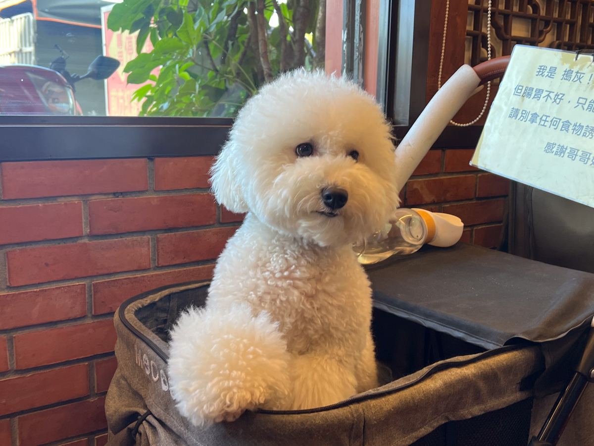 大溪美食,大溪客家菜,桃園美食,桃園客家菜