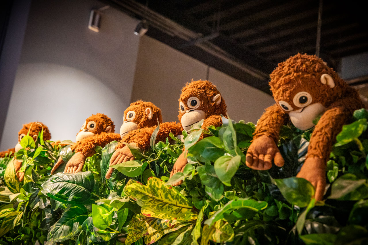 員林火鍋,員林泰式火鍋,鍋泰暖員林創始店