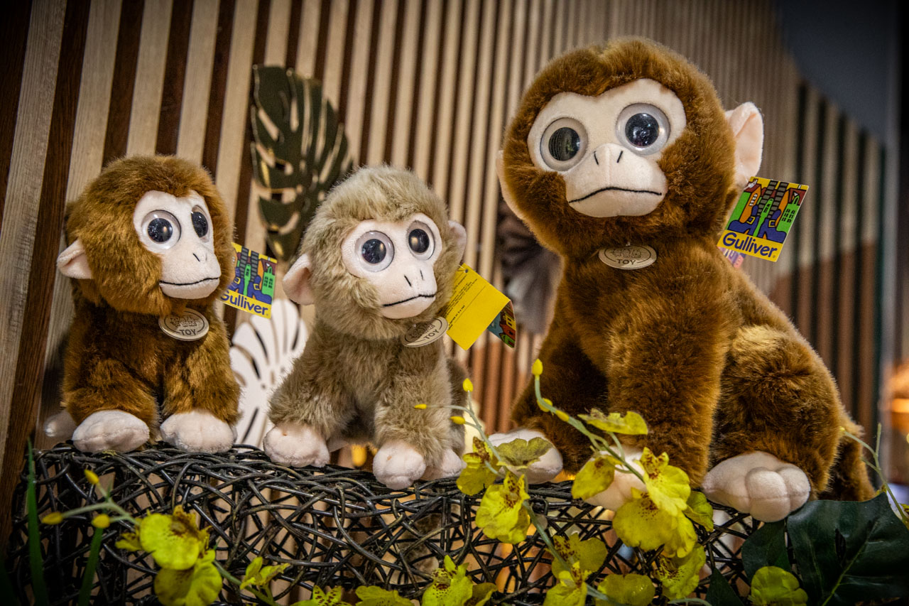 員林火鍋,員林泰式火鍋,鍋泰暖員林創始店