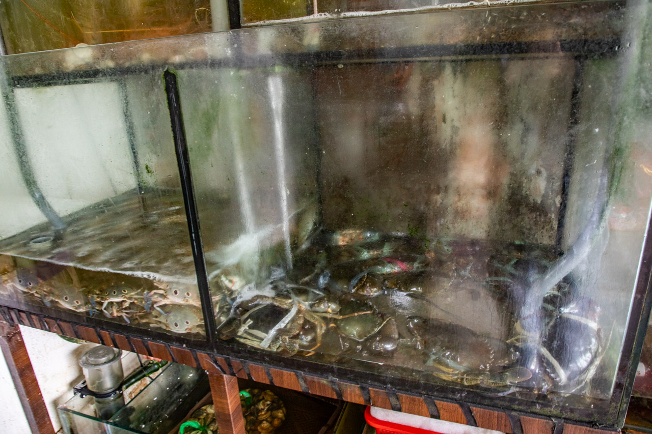 宜蘭美食,宜蘭海鮮餐廳,過嶺生猛海鮮館