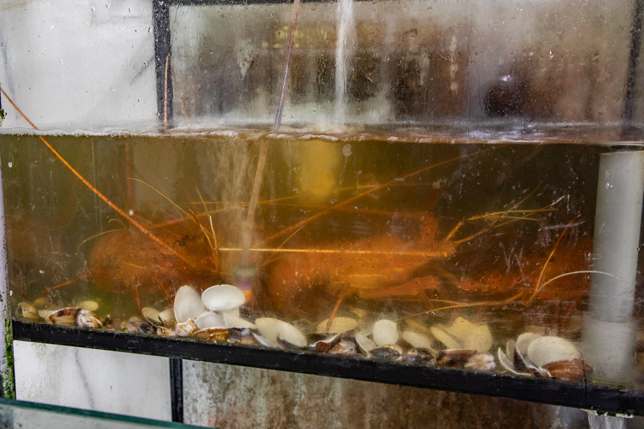 宜蘭美食,宜蘭海鮮餐廳,過嶺生猛海鮮館