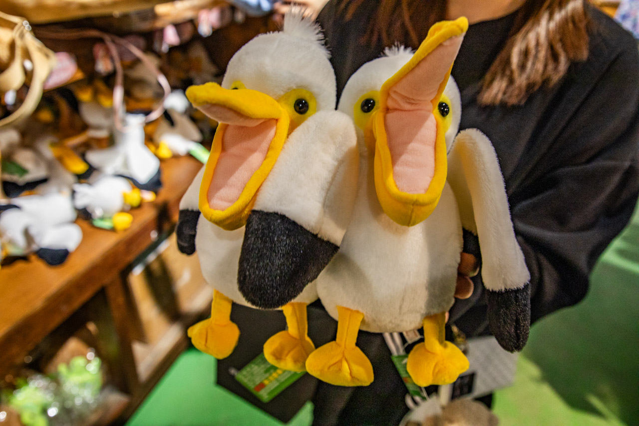 宜蘭動物農場、宜蘭景點、蘭陽動植物王國