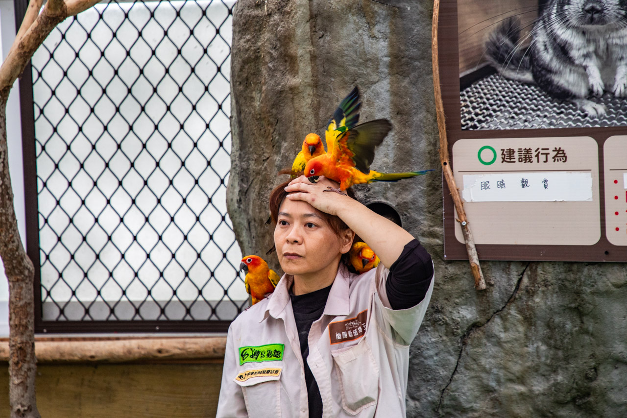 宜蘭動物農場、宜蘭景點、蘭陽動植物王國