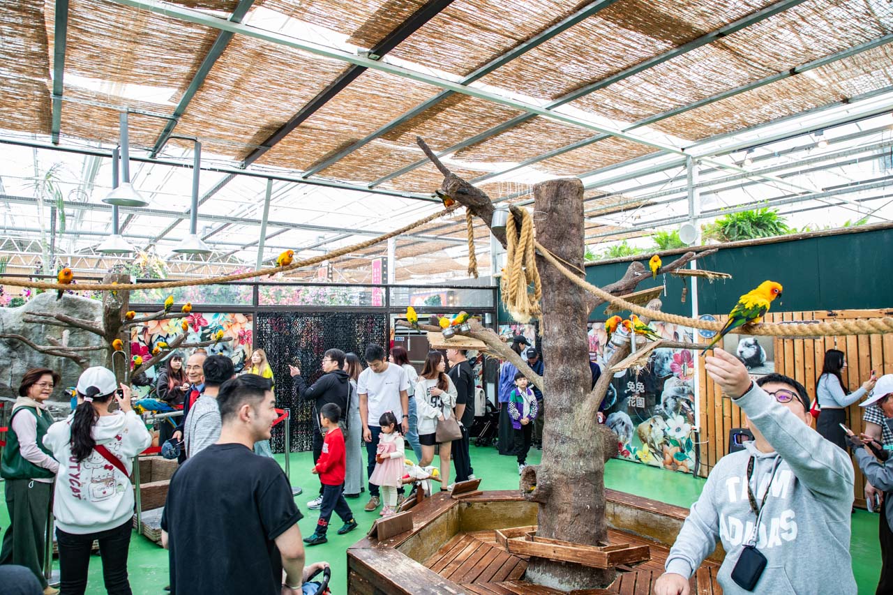 宜蘭動物農場、宜蘭景點、蘭陽動植物王國