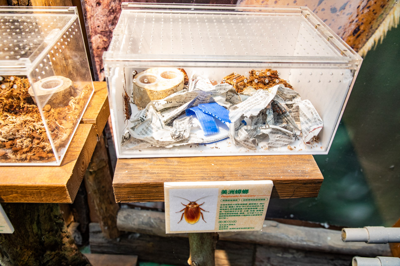 宜蘭動物農場、宜蘭景點、蘭陽動植物王國