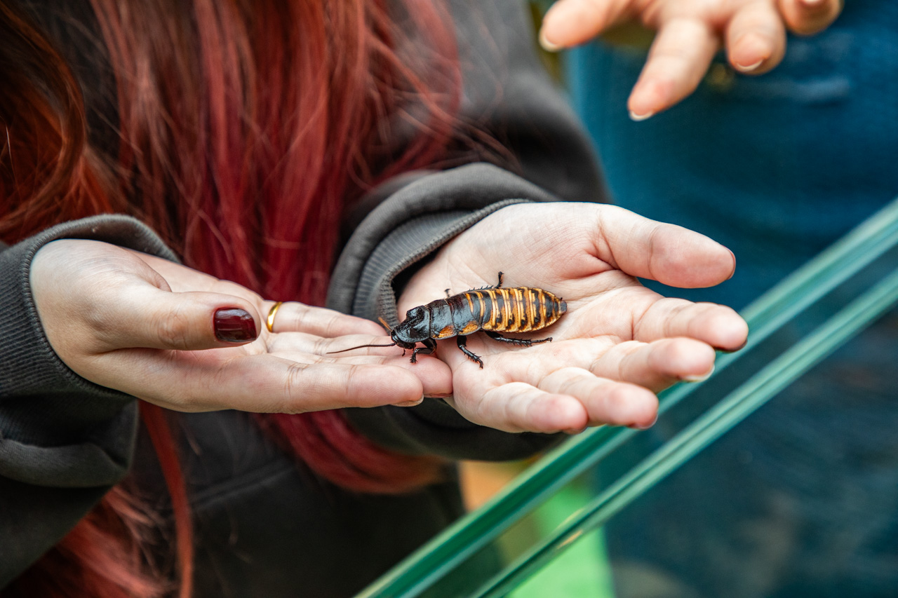 宜蘭動物農場、宜蘭景點、蘭陽動植物王國