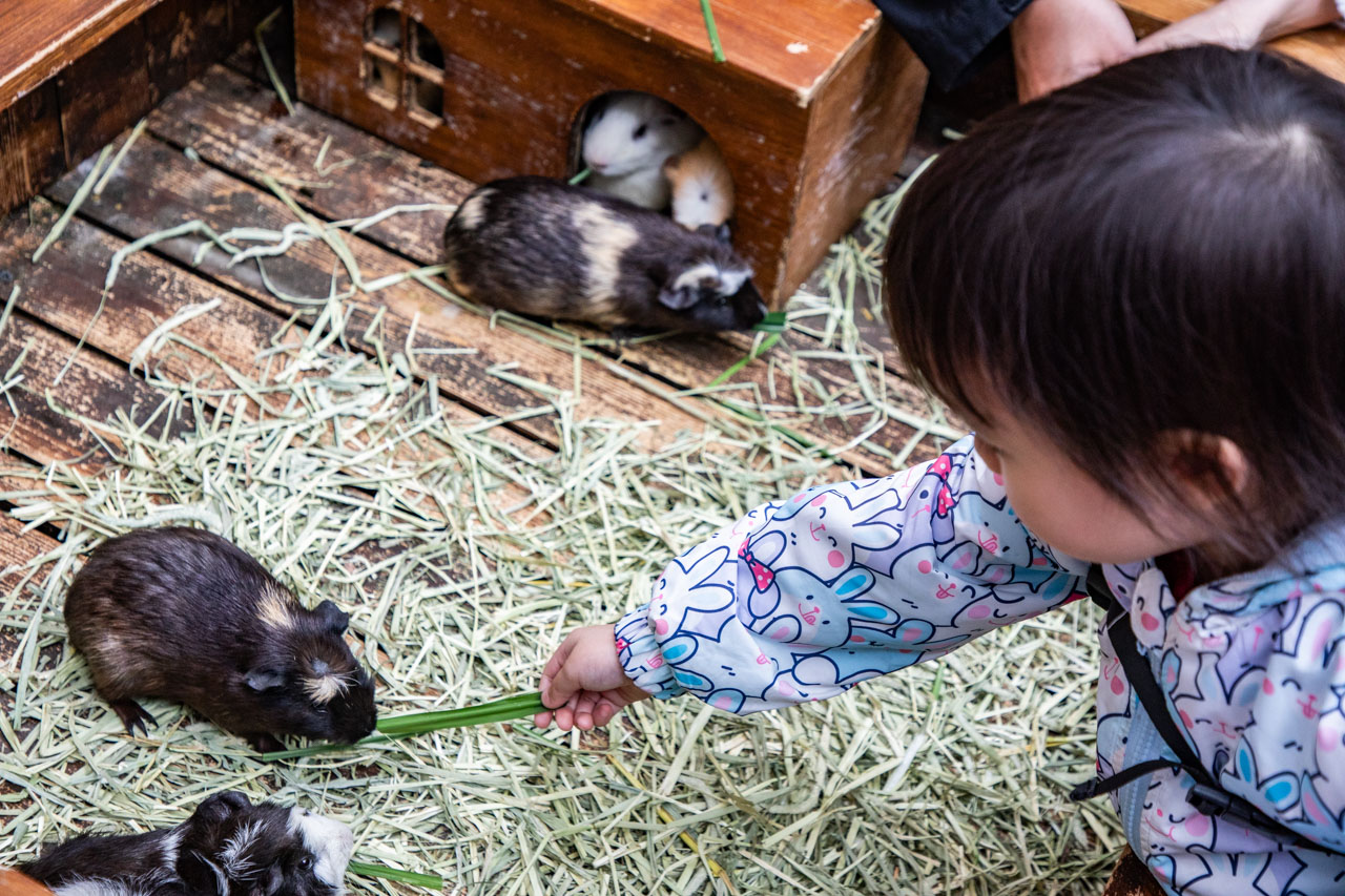 宜蘭動物農場、宜蘭景點、蘭陽動植物王國