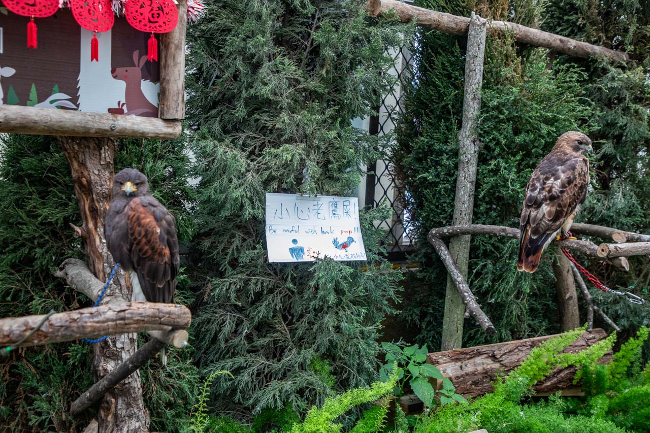 宜蘭動物農場、宜蘭景點、蘭陽動植物王國