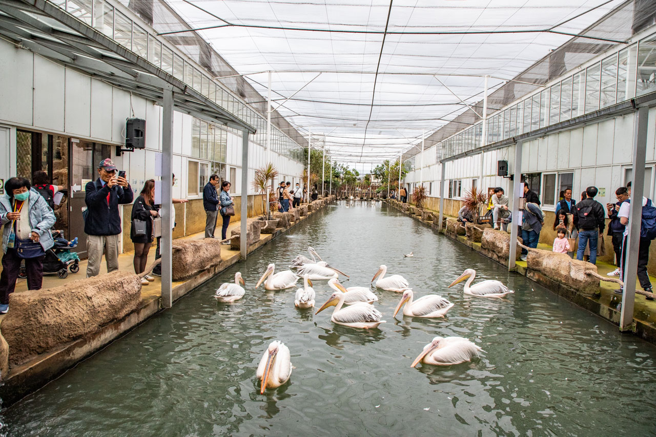 宜蘭動物農場、宜蘭景點、蘭陽動植物王國