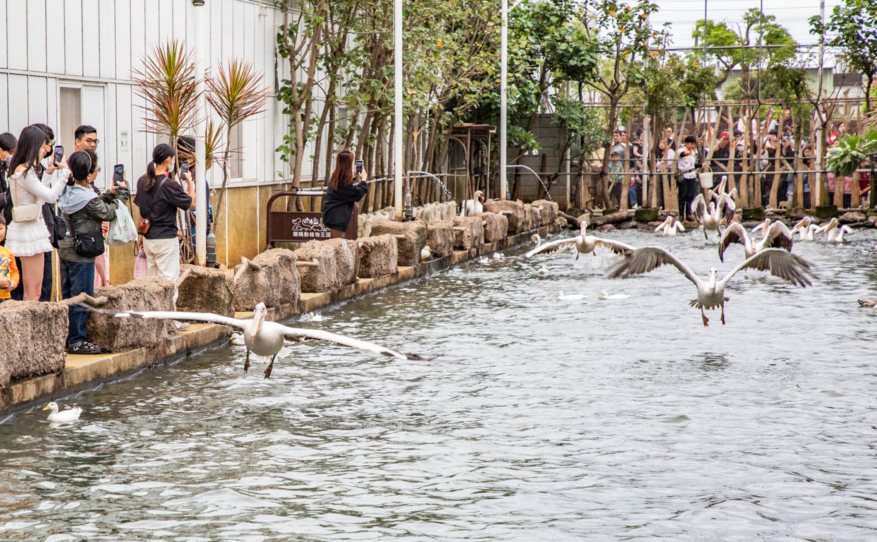 宜蘭動物農場、宜蘭景點、蘭陽動植物王國