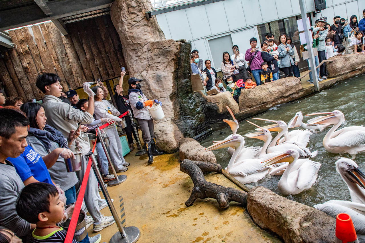 宜蘭動物農場、宜蘭景點、蘭陽動植物王國