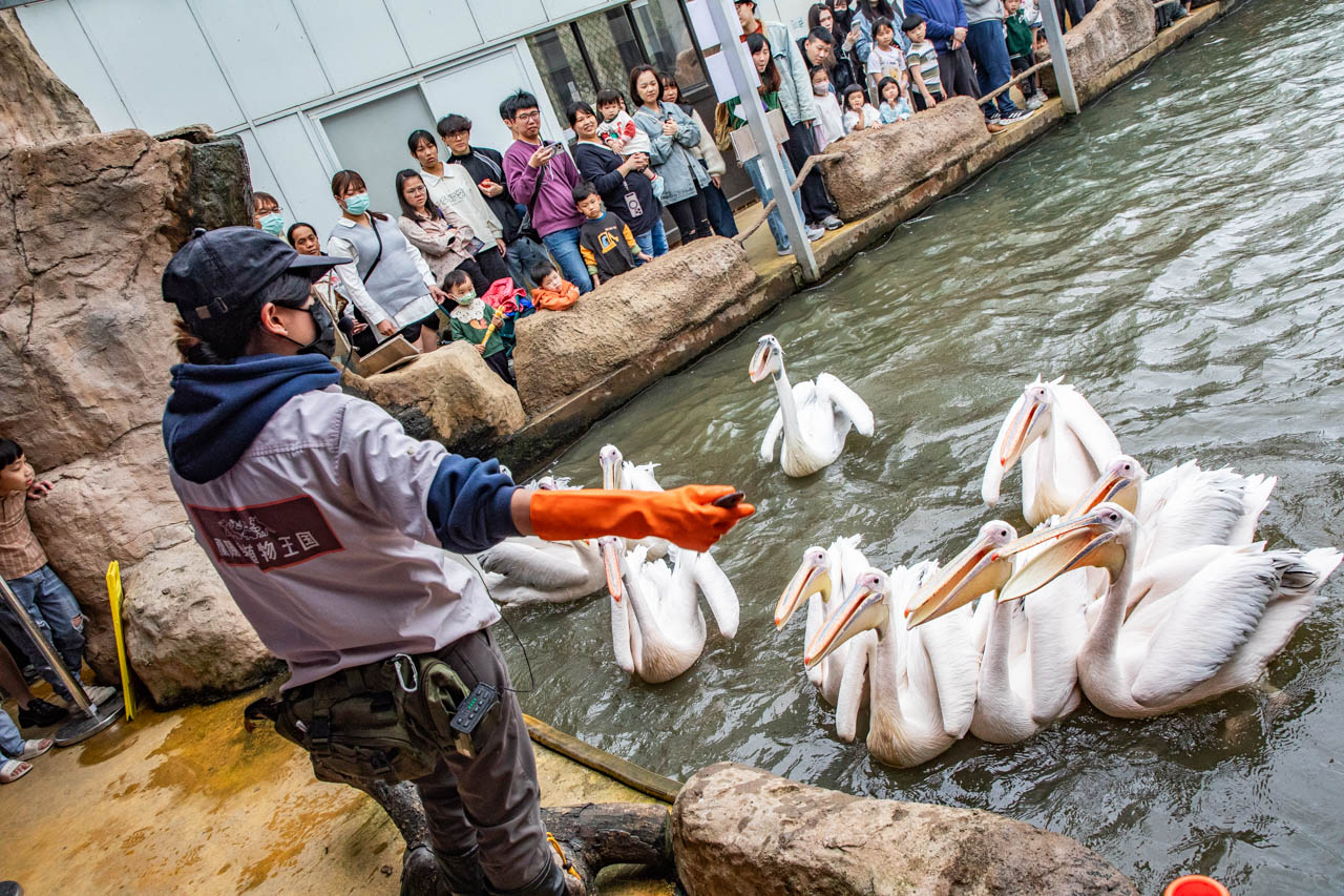 宜蘭動物農場、宜蘭景點、蘭陽動植物王國