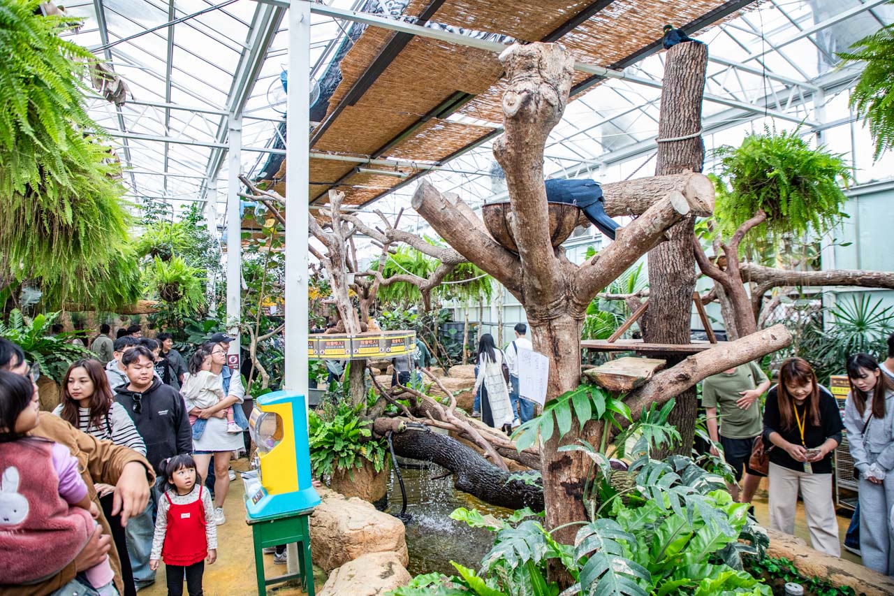 宜蘭動物農場、宜蘭景點、蘭陽動植物王國