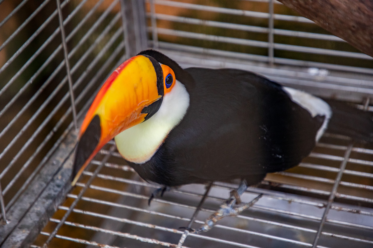 宜蘭動物農場、宜蘭景點、蘭陽動植物王國