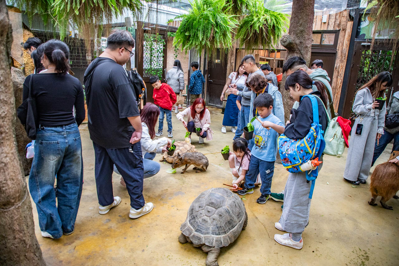 宜蘭動物農場、宜蘭景點、蘭陽動植物王國
