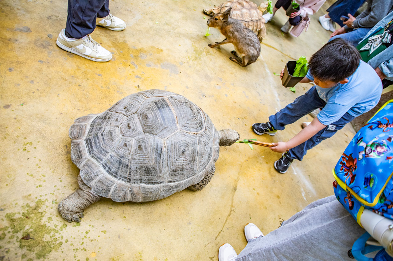 宜蘭動物農場、宜蘭景點、蘭陽動植物王國