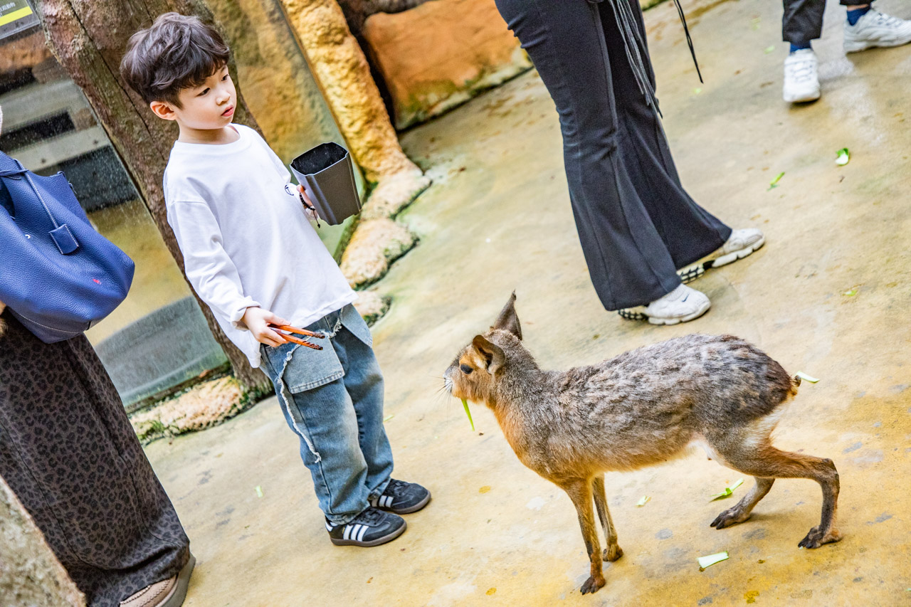 宜蘭動物農場、宜蘭景點、蘭陽動植物王國