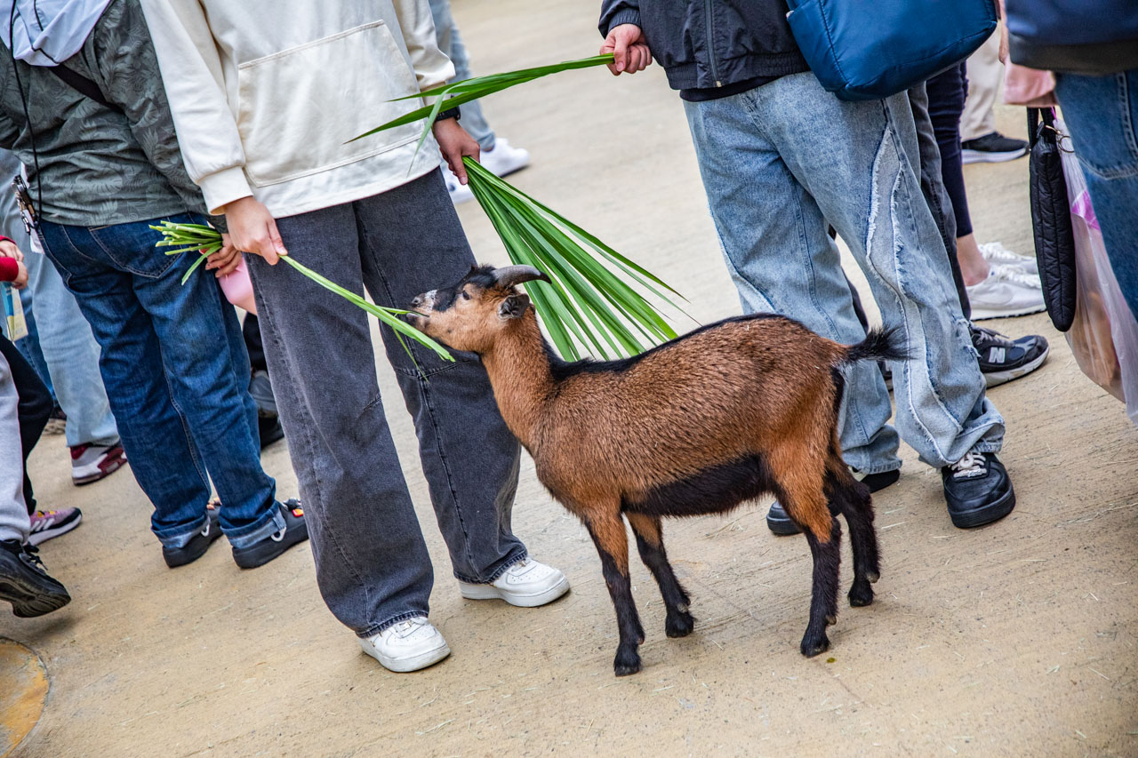 宜蘭動物農場、宜蘭景點、蘭陽動植物王國