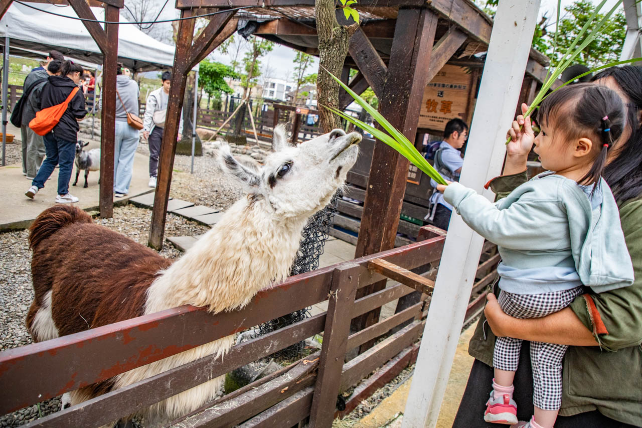 宜蘭動物農場、宜蘭景點、蘭陽動植物王國