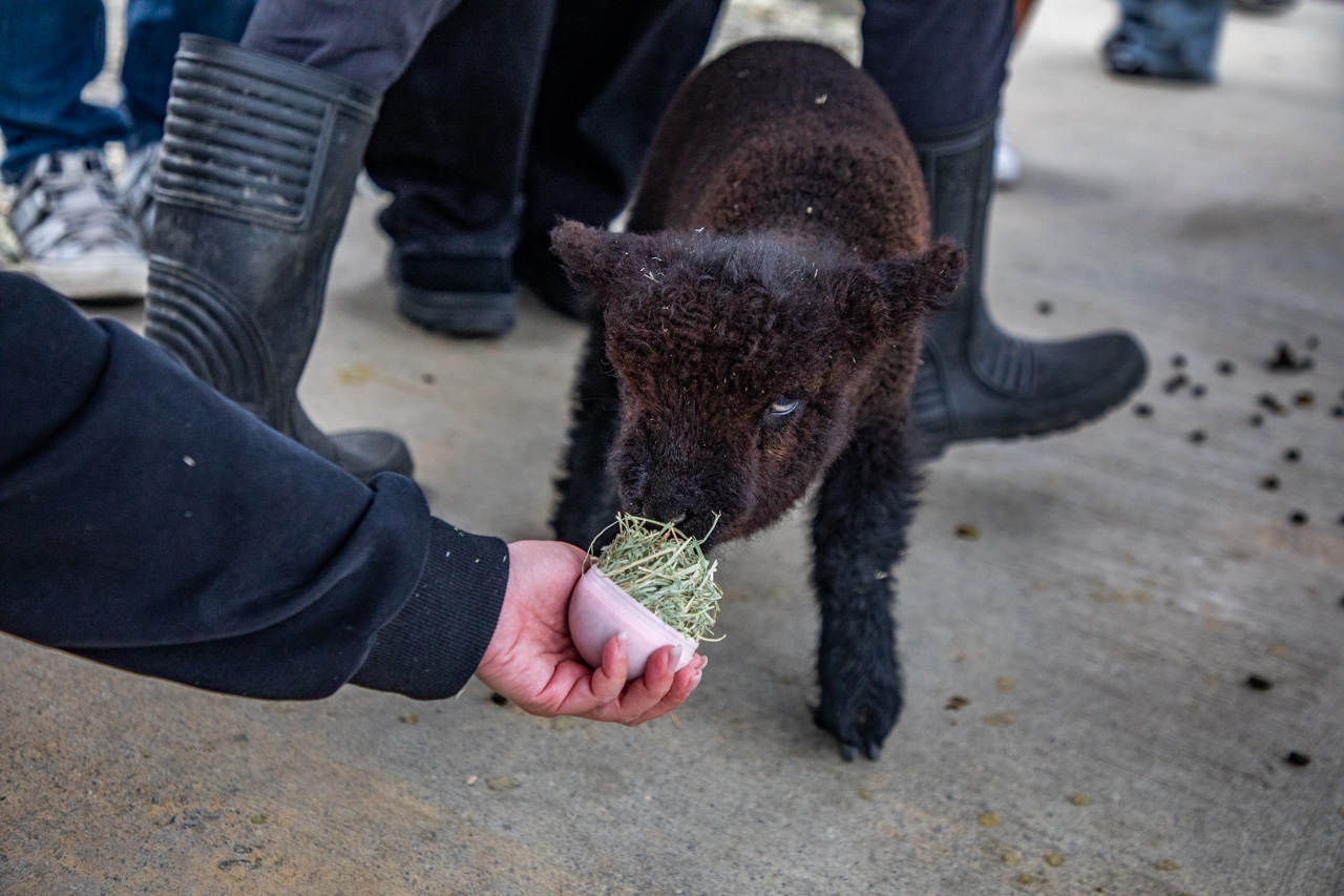 宜蘭動物農場、宜蘭景點、蘭陽動植物王國