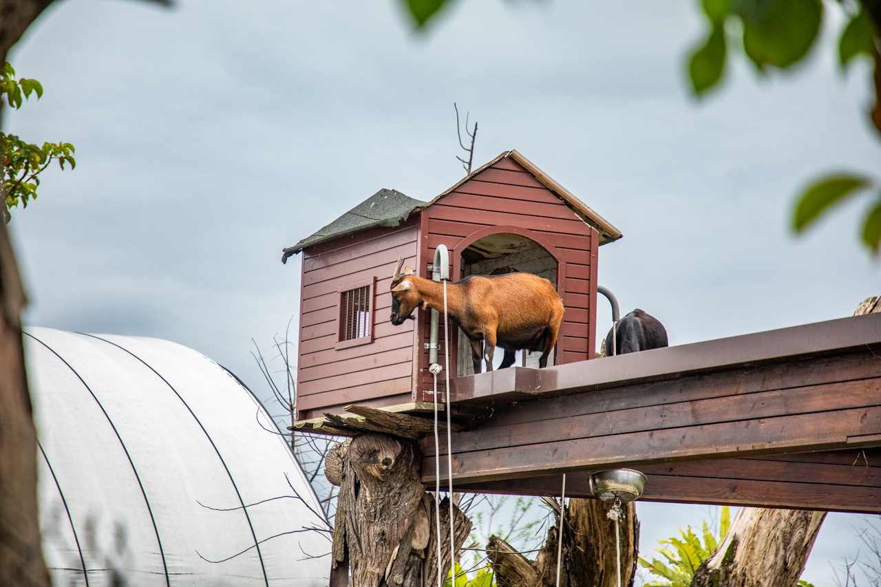 宜蘭動物農場、宜蘭景點、蘭陽動植物王國