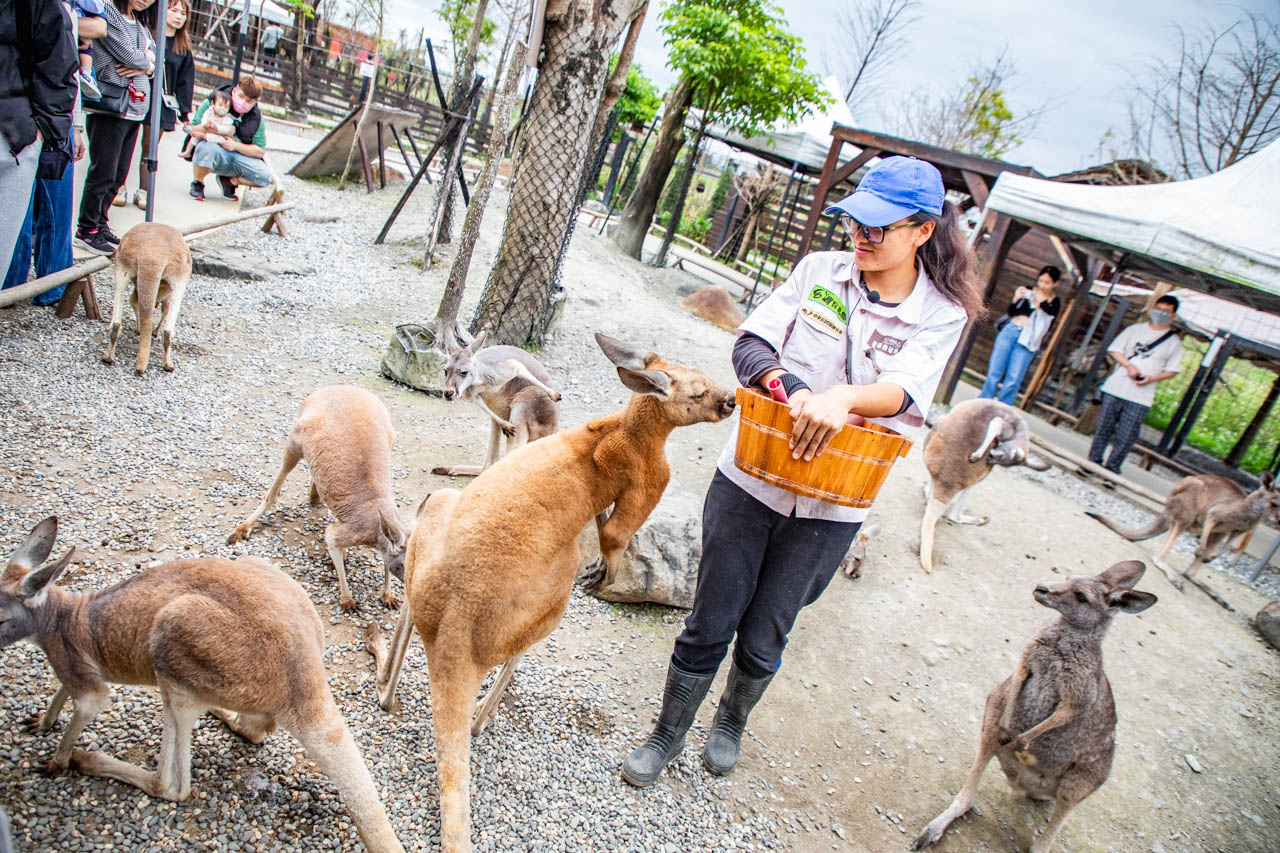 宜蘭動物農場、宜蘭景點、蘭陽動植物王國