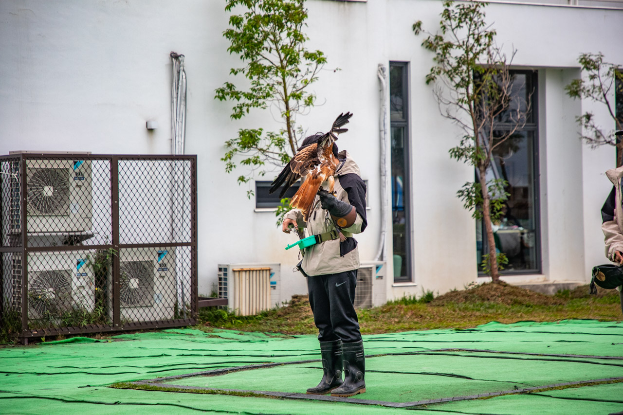 宜蘭動物農場、宜蘭景點、蘭陽動植物王國