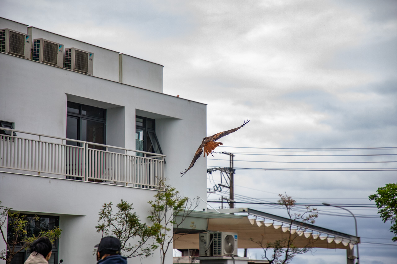 宜蘭動物農場、宜蘭景點、蘭陽動植物王國