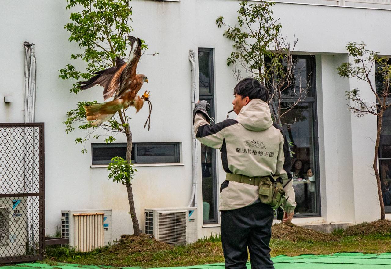 宜蘭動物農場、宜蘭景點、蘭陽動植物王國