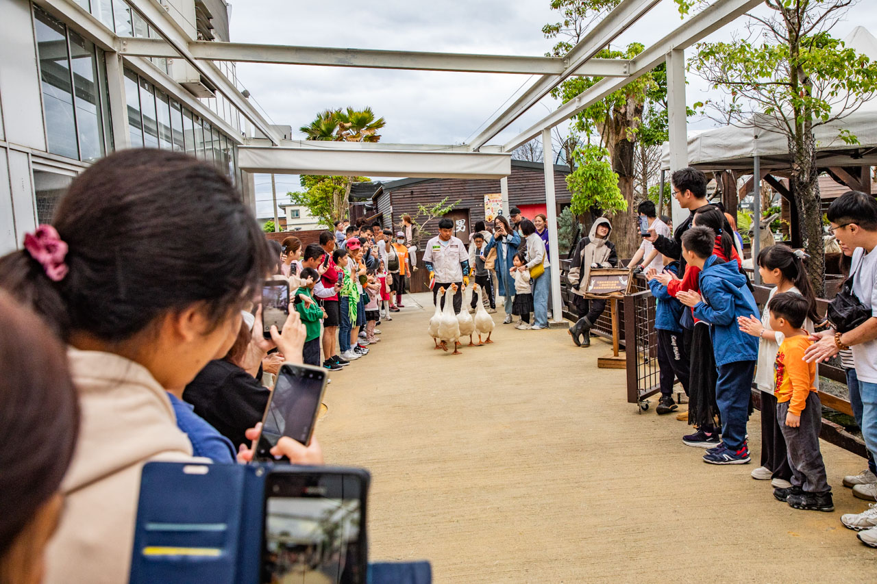宜蘭動物農場、宜蘭景點、蘭陽動植物王國
