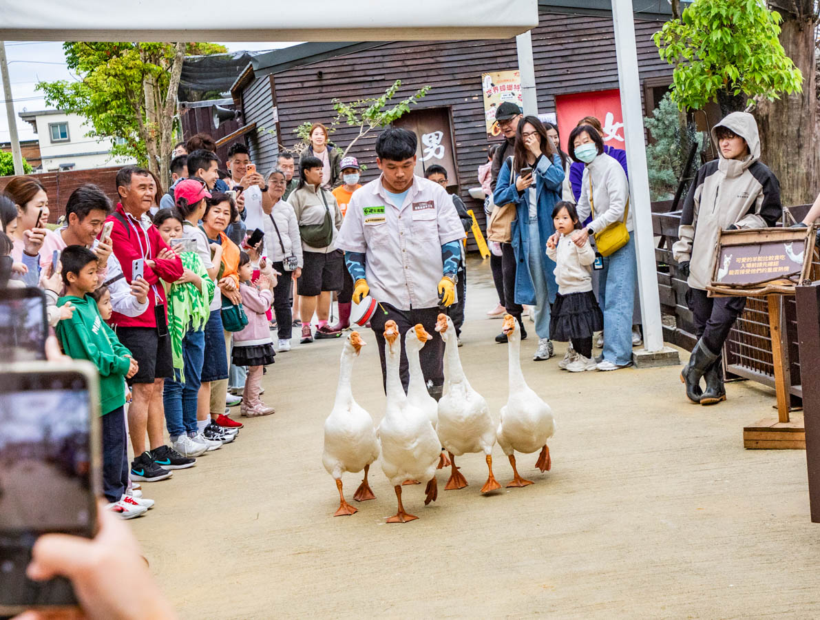宜蘭動物農場、宜蘭景點、蘭陽動植物王國
