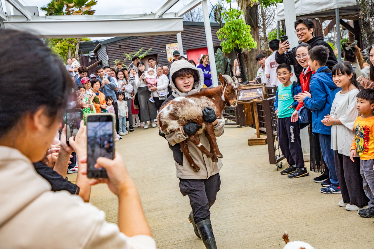 宜蘭動物農場、宜蘭景點、蘭陽動植物王國