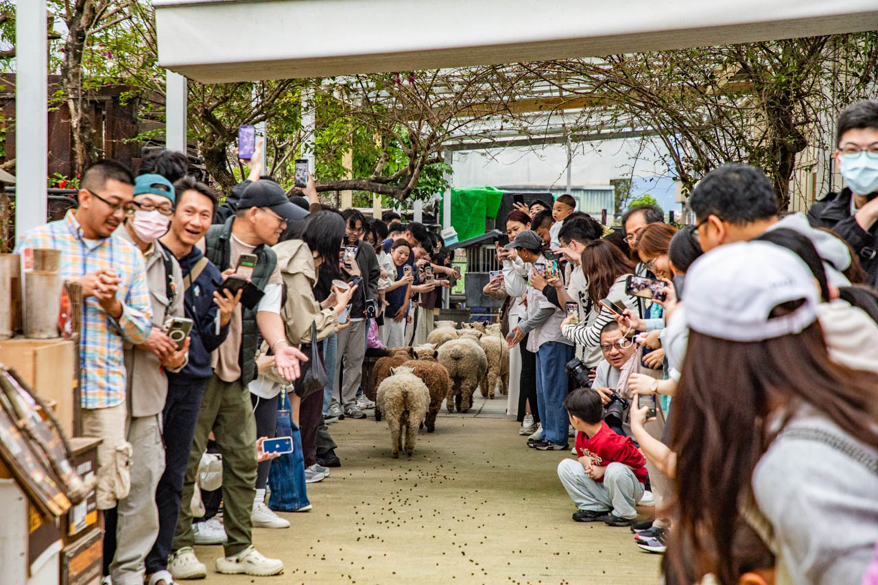 宜蘭動物農場、宜蘭景點、蘭陽動植物王國