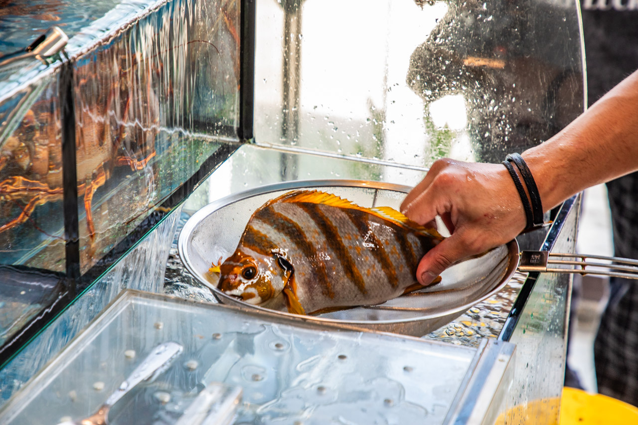 貢寮美食,貢寮海鮮,懸崖上的餐廳(Cilah海的味道) 貢寮美食,貢寮海鮮,懸崖上的餐廳(Cilah海的味道)